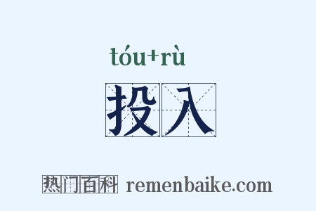 投入是什么意思的图片